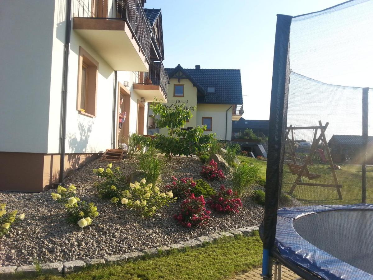 Domki Pod Magura Bystra  Exteriér fotografie